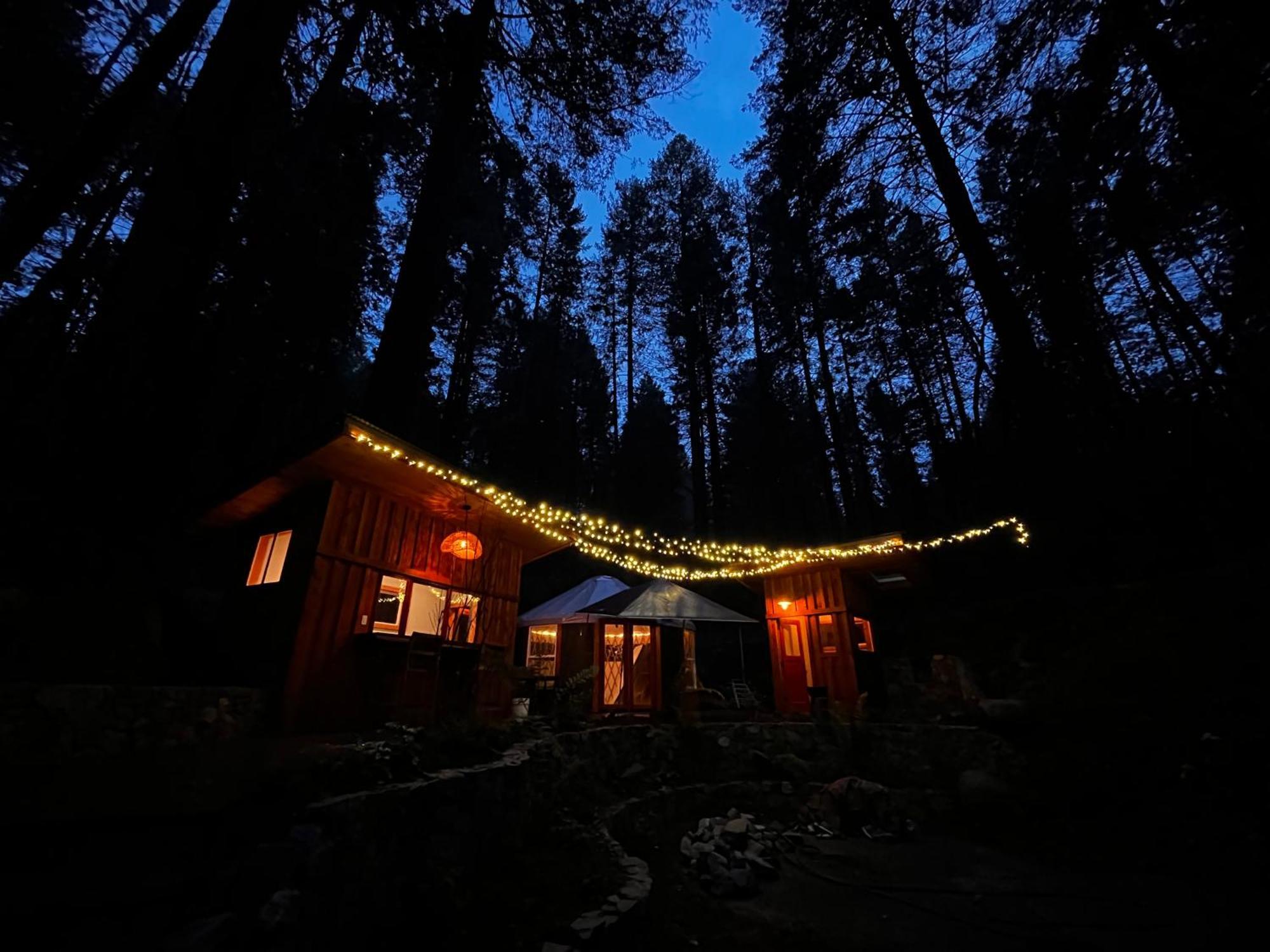 Magical Yurt In The Woods - 2 Miles From Town Hotel Nevada City Exterior photo